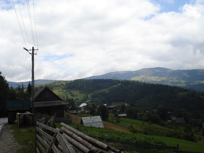 DSC03520 - Valea Ariesului