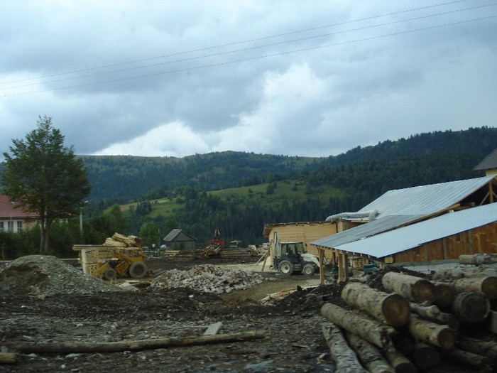 DSC03541