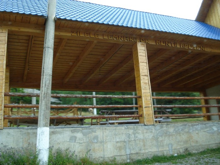 DSC03542