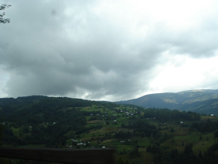 DSC03547