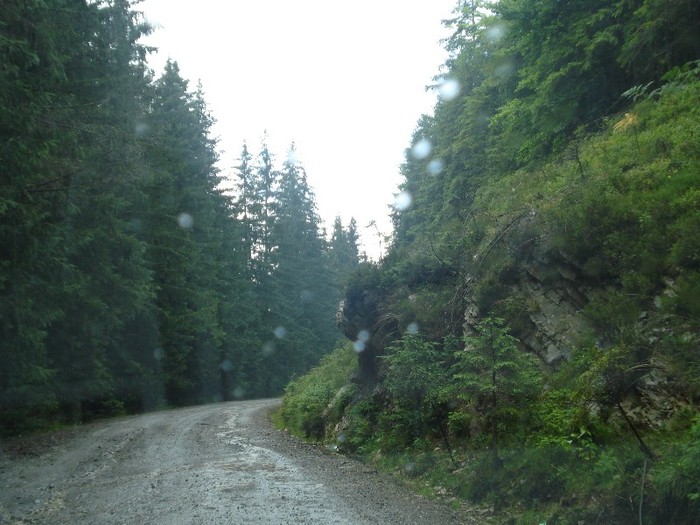 DSC03551