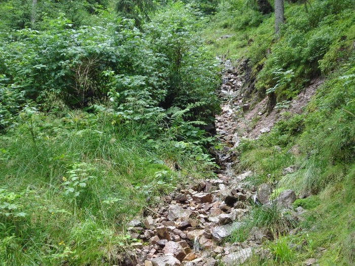 DSC03558