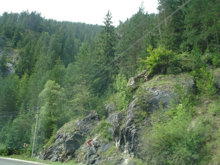 DSC03566