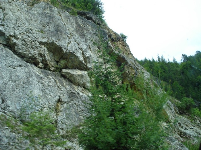 DSC03570