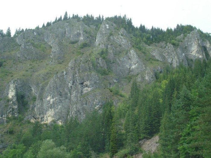 DSC03571