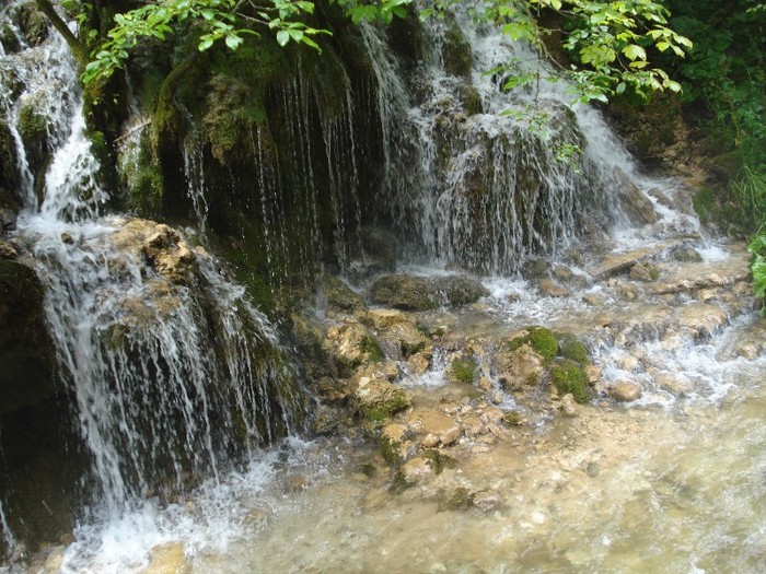 DSC03573