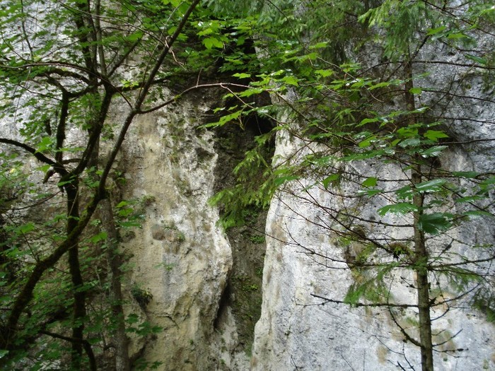 DSC03598