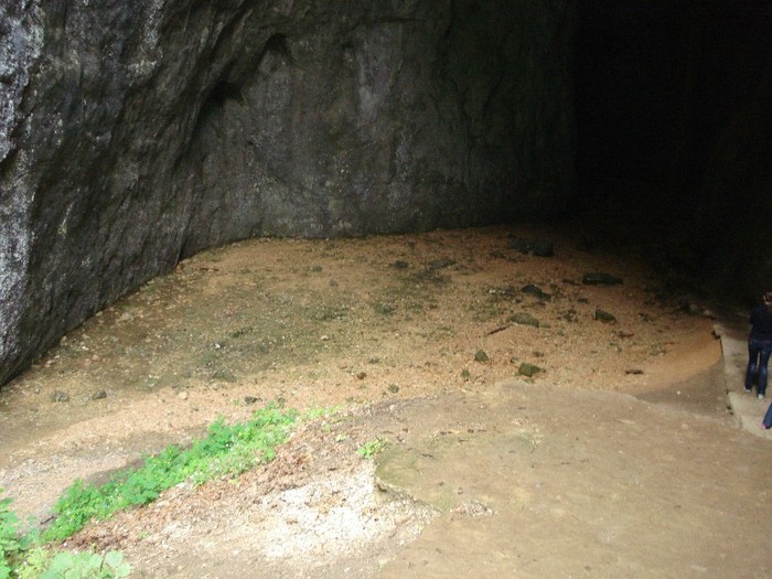 DSC03599