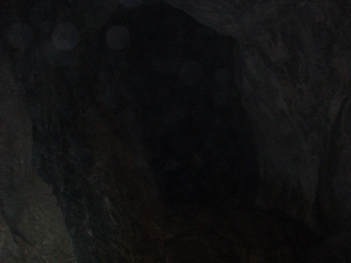 DSC03602