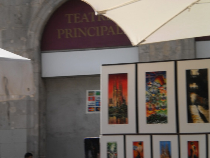 PA080026