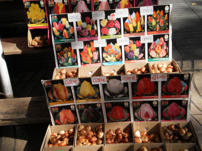 PA080098 - barcelona octombrie 2011