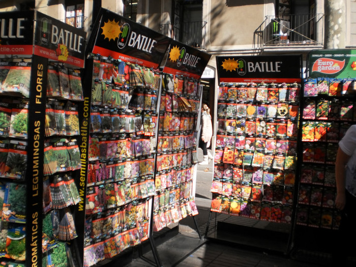 PA080099 - barcelona octombrie 2011