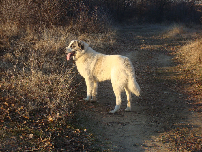 DSC01973; Braduta 1 an 3 luni
