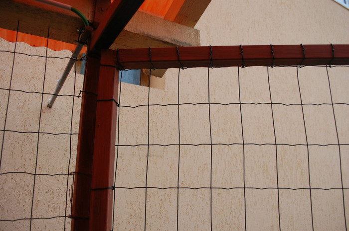 5.ian.2012 - Voliere-cotete-padoc