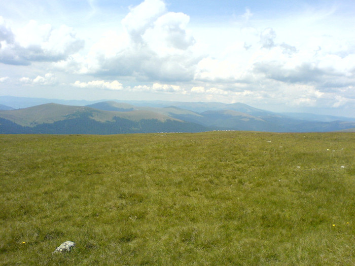 DSC06362