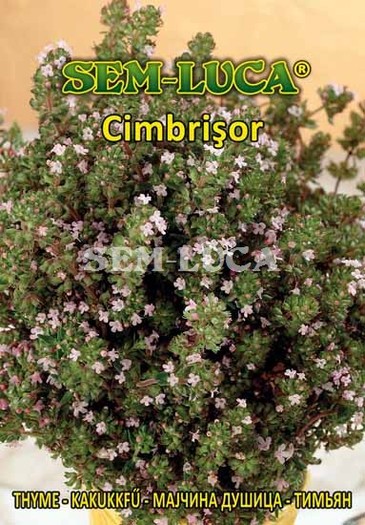 Cimbrisor - plante aromatice