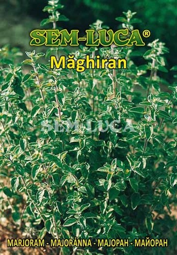 Maghiran - plante aromatice