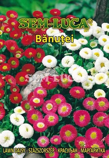 Banutei - flori