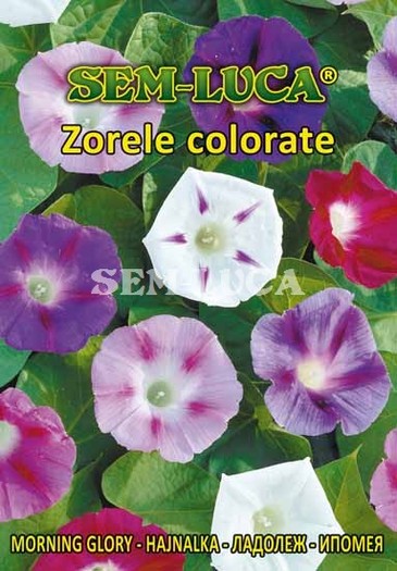 Zorele colorate