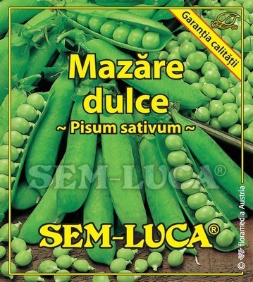 Mazare dulce - Kelvedon Wonder - mazare