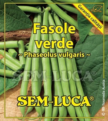 Fasole verde - Eden