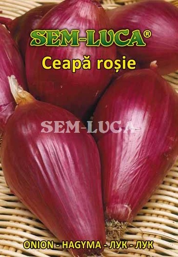 Ceapa rosie  lunga - ceapa