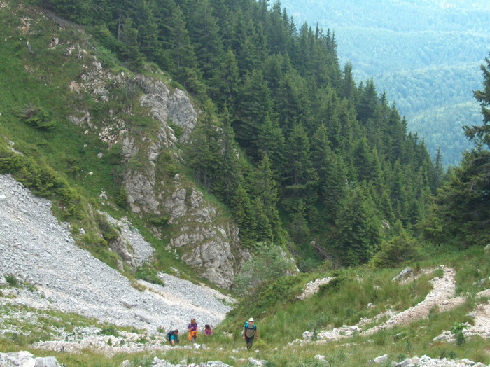 PIATRA CRAIULUI 31.07 (106)