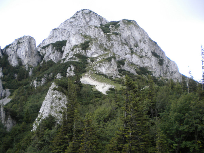 PIATRA CRAIULUI 31.07 (158)