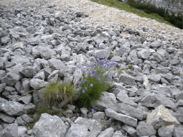 PIATRA CRAIULUI 31.07 (188)