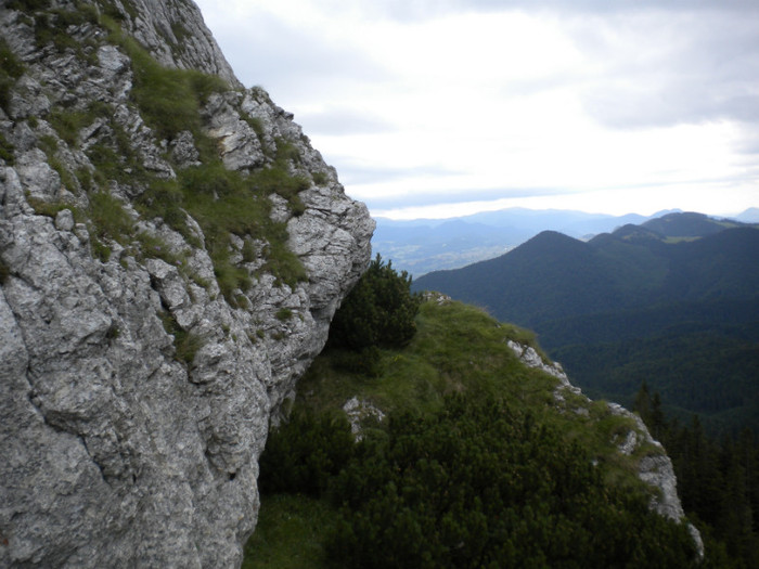 PIATRA CRAIULUI 31.07 (209)