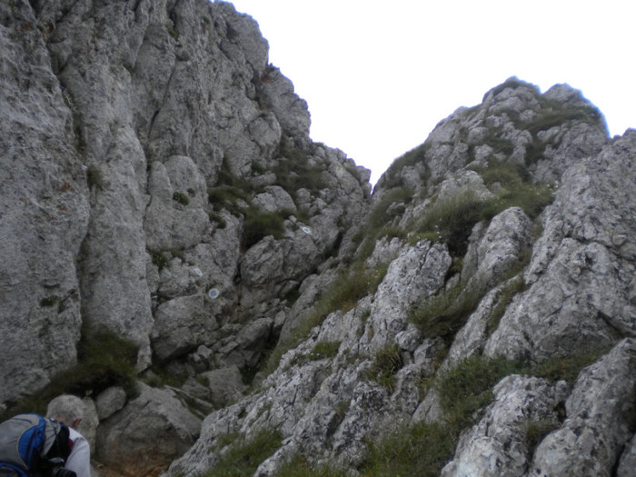 PIATRA CRAIULUI 31.07 (266)