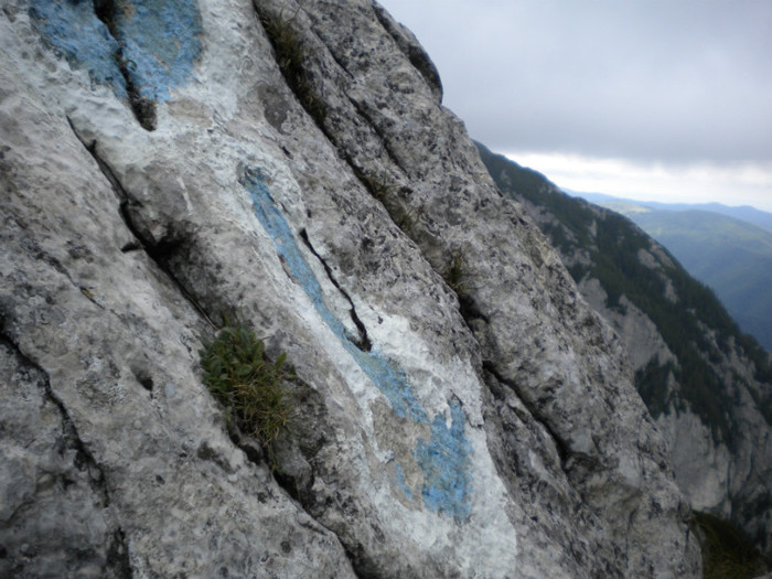 PIATRA CRAIULUI 31.07 (273)