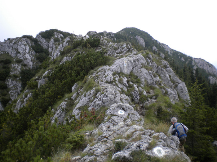 PIATRA CRAIULUI 31.07 (301)