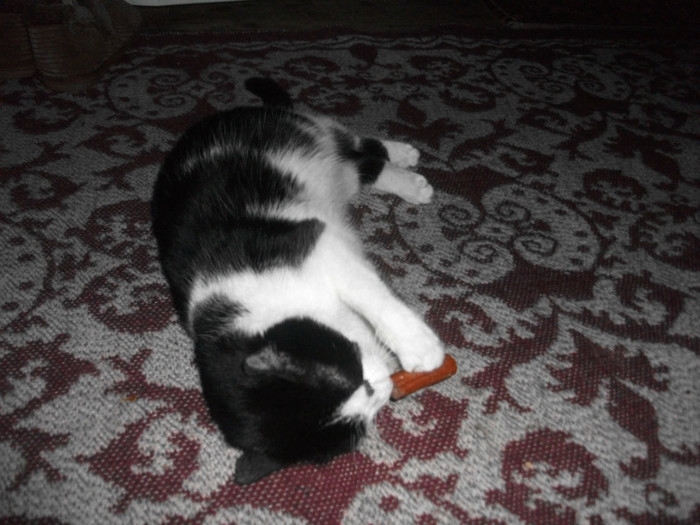 poze 944 - Mitzi 2012