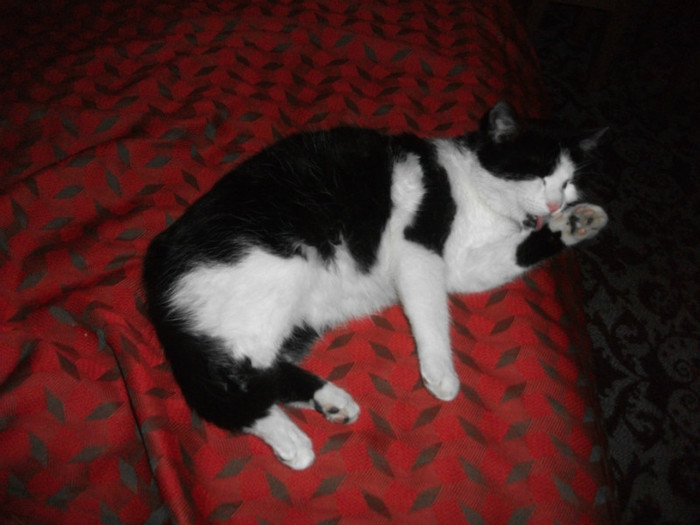 poze 951 - Mitzi 2012