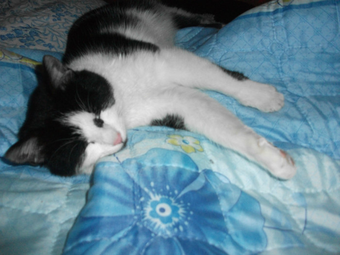 poze 973 - Mitzi 2012
