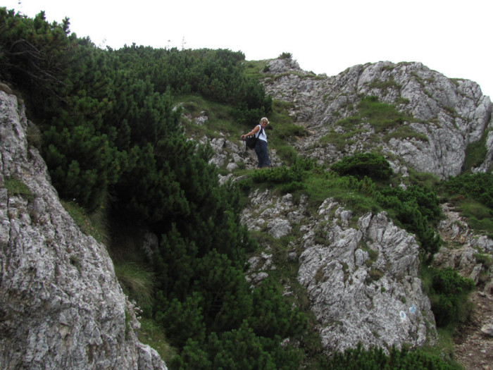 PIATRA CRAIULUI 31.07 (414)