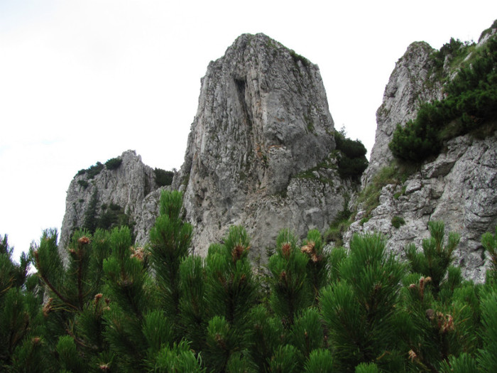 PIATRA CRAIULUI 31.07 (457)