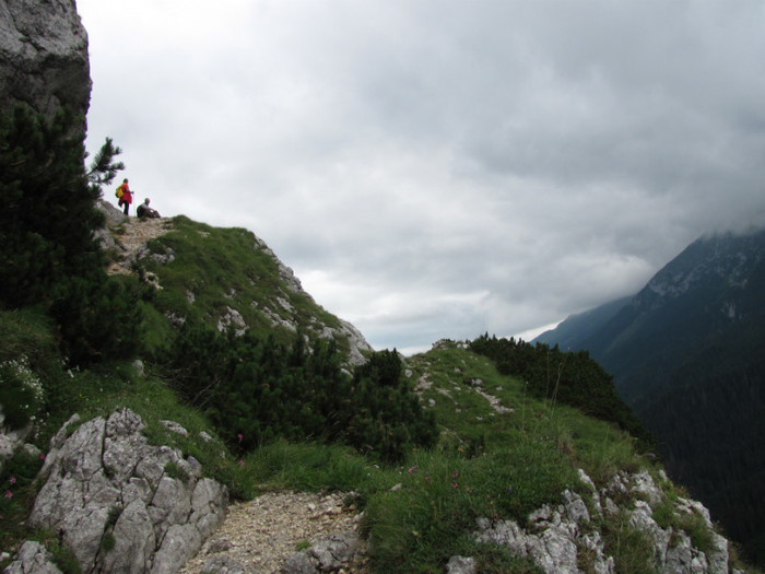 PIATRA CRAIULUI 31.07 (459) - MUNTII PIATRA CRAIULUI 31-07-2011