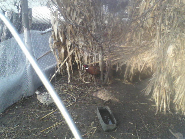 P05-01-12_09.02[2]