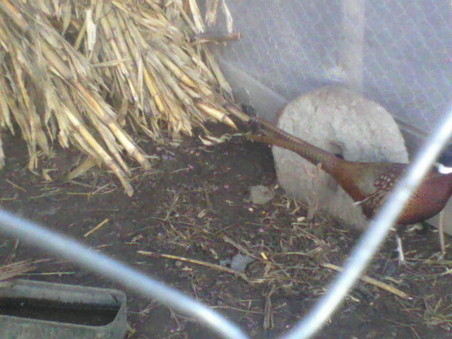 P05-01-12_10.10[3]