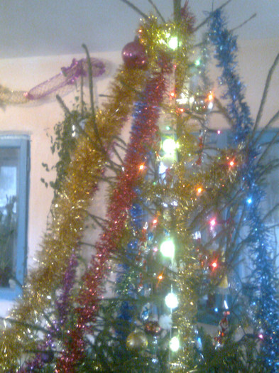 my christmas tree - poze de craciun