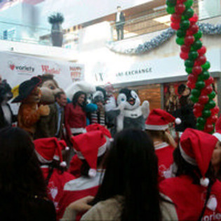 100261_mesq - jasmine V 2