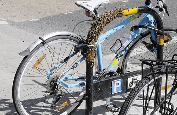 sistem-antifurt-pentru-o-bicicleta-02 - Cel mai tare sistem anti-furt