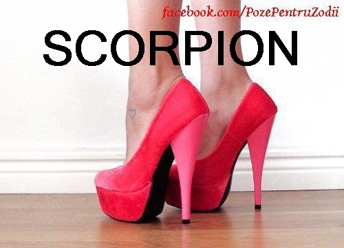 Scorpion