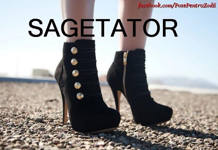 Sagetator