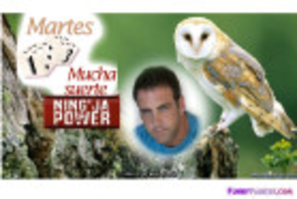 1_VXFMEGIT - Carlos Ponce