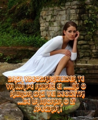 6d06283a1b20af8ada9d753a22d505ca