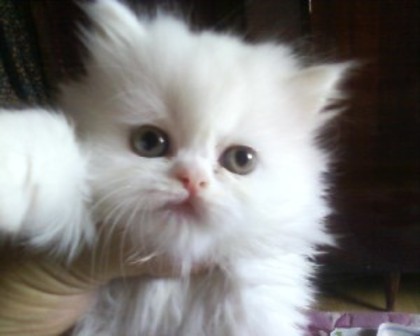 Trebuia sa fii avut un nume de mai de mult....dar e draguta fetita