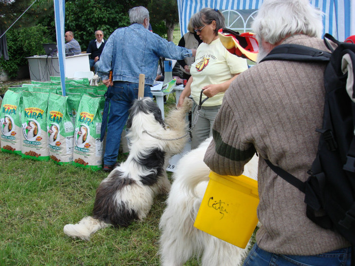 Copy of DSC03160 - Craiova 10-05-2008